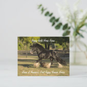 ジプシー金ゴールドジプシーヴァンナー葉書BBキング ポストカード (スタンド正面)