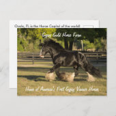 ジプシー金ゴールドジプシーヴァンナー葉書BBキング ポストカード (正面/裏面)