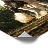 ジプシー金ゴールドジプシー・ヴァンナー・キング・ウィリアム・ポスター ポスター (角)