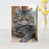 ジプシー・カード カード (黄色い花)