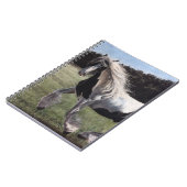 ジプシー・バンナーが畑ランニングの中の馬に飛び込む ノートブック (左側)