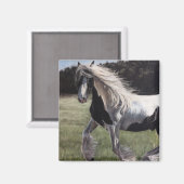 ジプシー・バンナーが畑ランニングの中の馬に飛び込む マグネット (正面/裏面)