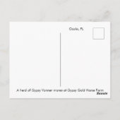 ジプシー・バンナーの手描き葉書 ポストカード (裏面)