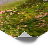 「ジプシー・ブロッサム」 ポスター (角)