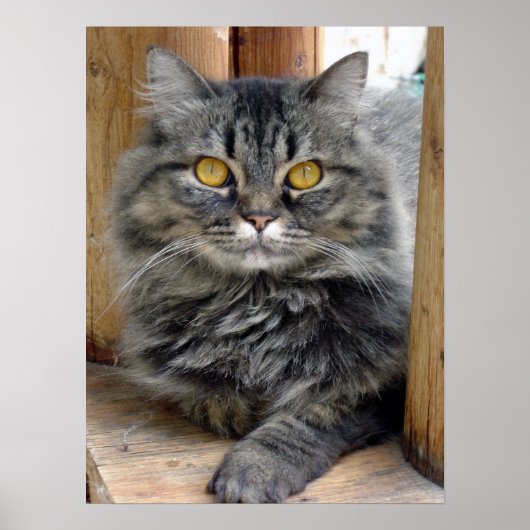 ジプシー ポスター (正面)