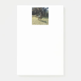 「ジプシー・ローバーを待っている」 ポストイット