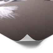 ジプシー・ヴァンナー・スタリオン先住民cob ポスター (角)