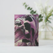 ジプシー・ヴァンナー・ホース ポストカード (スタンド正面)