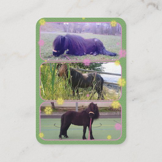 ジプシー – 名刺 (裏面)