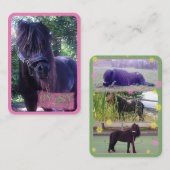 ジプシー – 名刺 (正面/裏面)