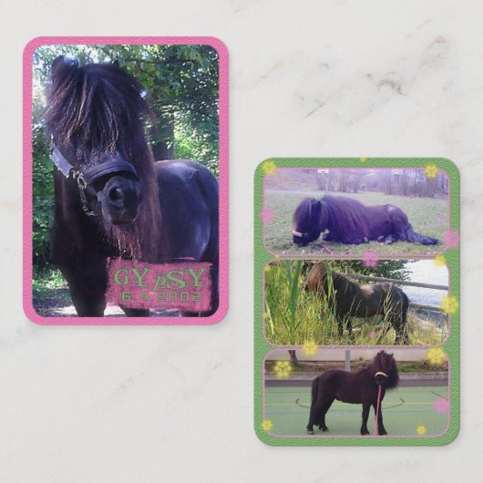 ジプシー – 名刺 (正面/裏面)