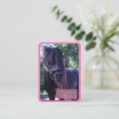 ジプシー – 名刺 (スタンド正面)