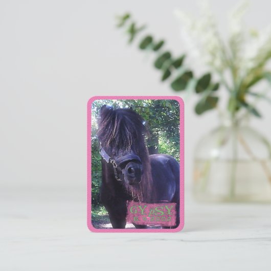 ジプシー – 名刺 (スタンド正面)