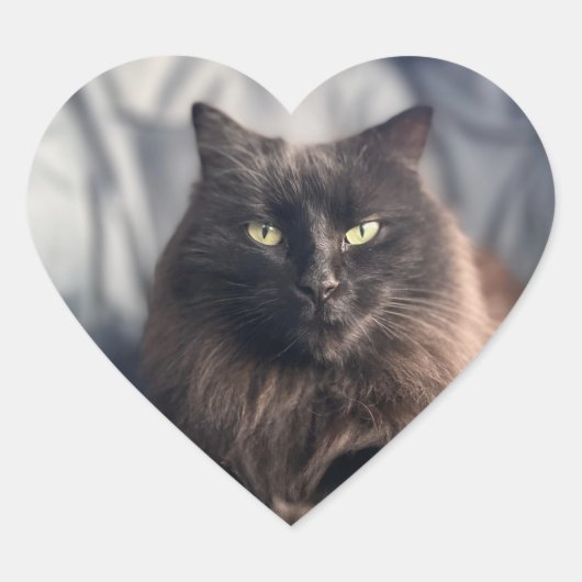 ジプシー – Black Cat Stickers ハートシール (正面)