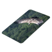 ジプスフルヴ飛んでいるス マグネット (左側)