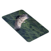 ジプスフルヴ飛んでいるス マグネット (右側)