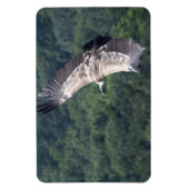 ジプスフルヴ飛んでいるス マグネット (縦)