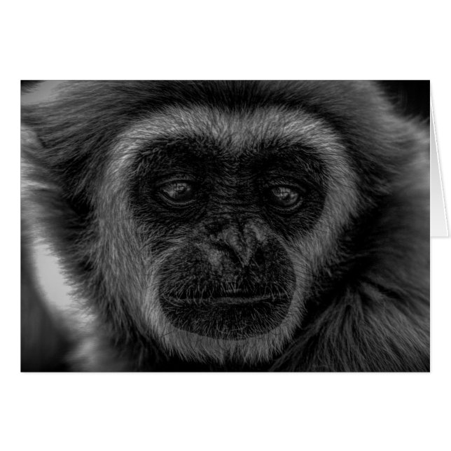 ジボン野生動物インドネシア哺乳動物 (正面横)