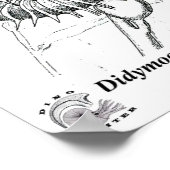 ジミモセラスステベンソニ ポスター (角)