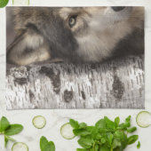 ジムZuckerman著材木オオカミ キッチンタオル (折り畳み)