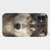 ジムZuckerman著材木オオカミ Case-Mate iPhoneケース (裏面(横))