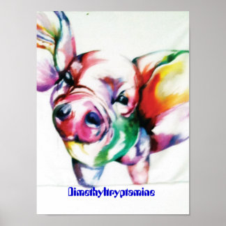 ジメチルトリプタミン ポスター