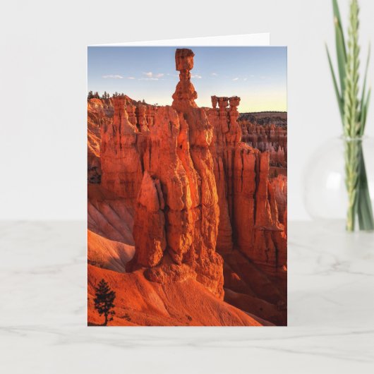 ジャイアンツのすぐ近く カード (正面)