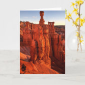 ジャイアンツのすぐ近く カード (黄色い花)