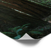 「ジャイアンツの歩く」、ミューア・ウッズ ポスター (角)