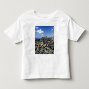 ジャイアンツコーズウェイ、アントリム県、北 トドラーTシャツ
