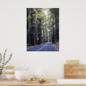 ジャイアンツ大通り – ハンボルト・レッドウッズ州パーク ポスター (キッチン)