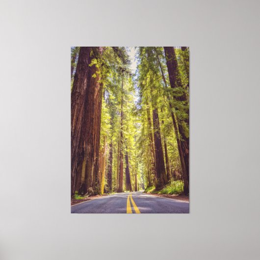 ジャイアンツ通り キャンバスプリント (正面)