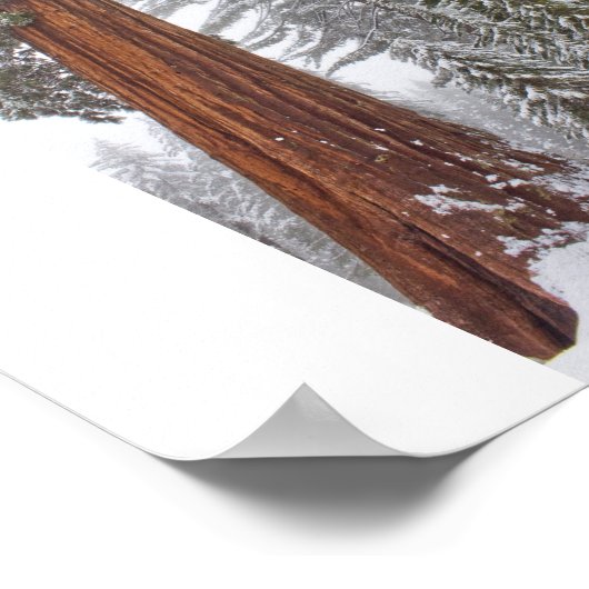 ジャイアンツII ポスター (角)