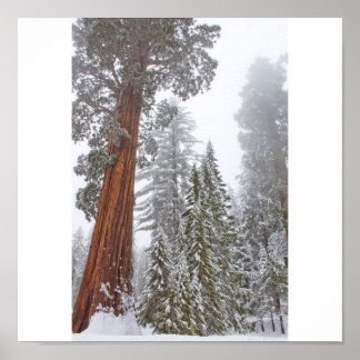 ジャイアンツII ポスター