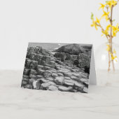 ジャイアントのコーズウェイグリーティングカード カード (黄色い花)