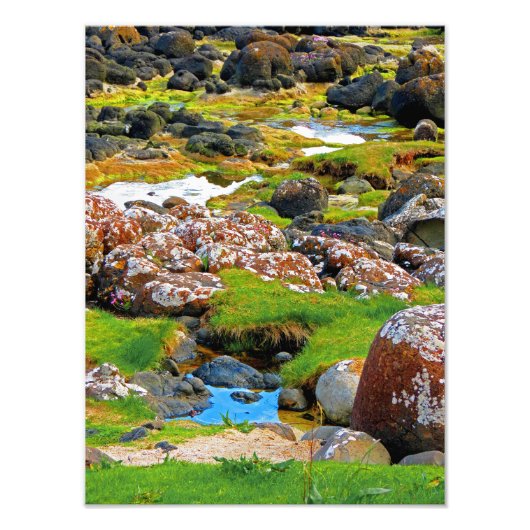 ジャイアントのコーズウェイ – ビュー2 フォトプリント            (正面)