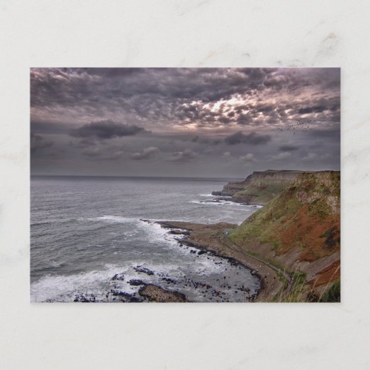 ジャイアントのコーズウェイ ポストカード (正面)