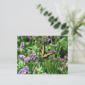 ジャイアントアゲハチョウバタフライオンパープルスタティチェ ポストカード (スタンド正面)