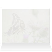 ジャイアントアゲハチョウ蝶 (内部横(上))