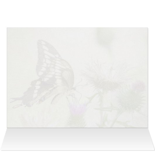 ジャイアントアゲハチョウ蝶 (内部横(上))