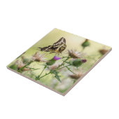 ジャイアントアゲハチョウ蝶 タイル (側面)