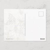 ジャイアントアゲハチョウ蝶 ポストカード (裏面)