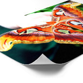 ジャイアントアトラス蛾 ポスター (角)