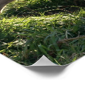 ジャイアントアンテータポスタープリント ポスター (角)