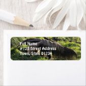 ジャイアントアンテーター差出人住所ラベル ラベル (インサイチュ)