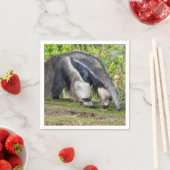 ジャイアントアンテーター歩くオングラス スタンダードカクテルナプキン (インサイチュ)