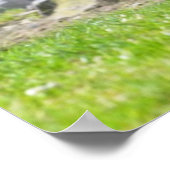 ジャイアントアンテーター歩くオングラス ポスター (角)