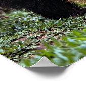 ジャイアントアンテーター(ミレコファガトリダクティラ) ポスター (角)