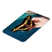 ジャイアントイエローアゲハチョウ蝶 マグネット (左側)