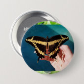 ジャイアントイエローアゲハチョウ蝶 缶バッジ (正面&裏面)